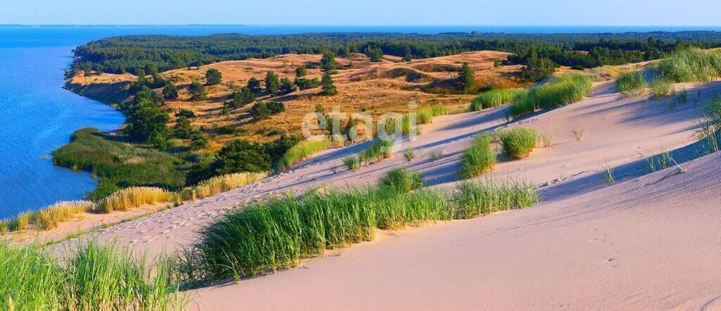 земля р-н Зеленоградский п Лесной Зеленоградский муниципальный округ фото 2