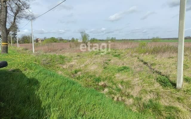 земля р-н Гурьевский п Зеленополье Луговское сельское поселение фото 4