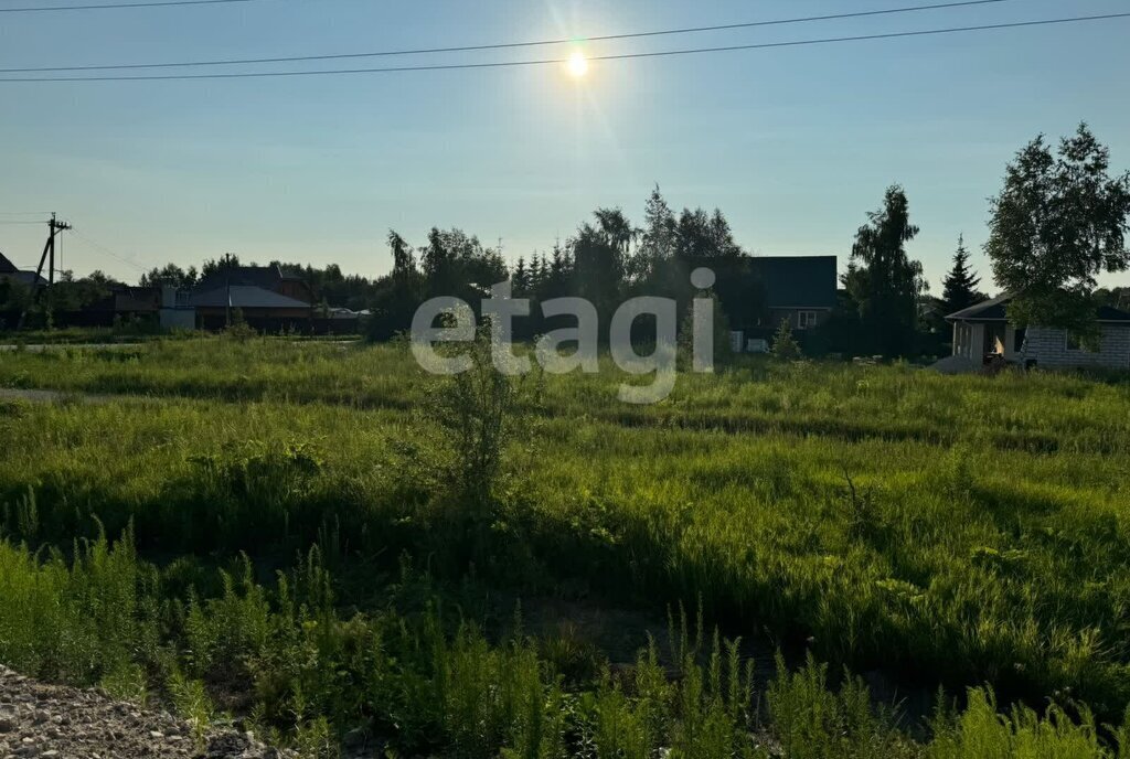 земля р-н Ленинский д Хопилово городской округ Тула фото 1