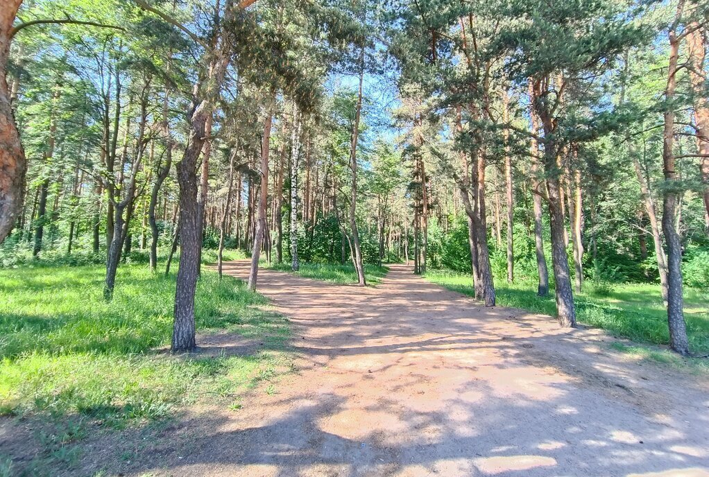 квартира г Санкт-Петербург метро Политехническая пр-кт Раевского 24 округ Светлановское фото 1