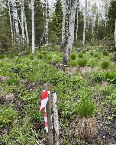 с Кунгурка ул Надежды Екатеринбург фото