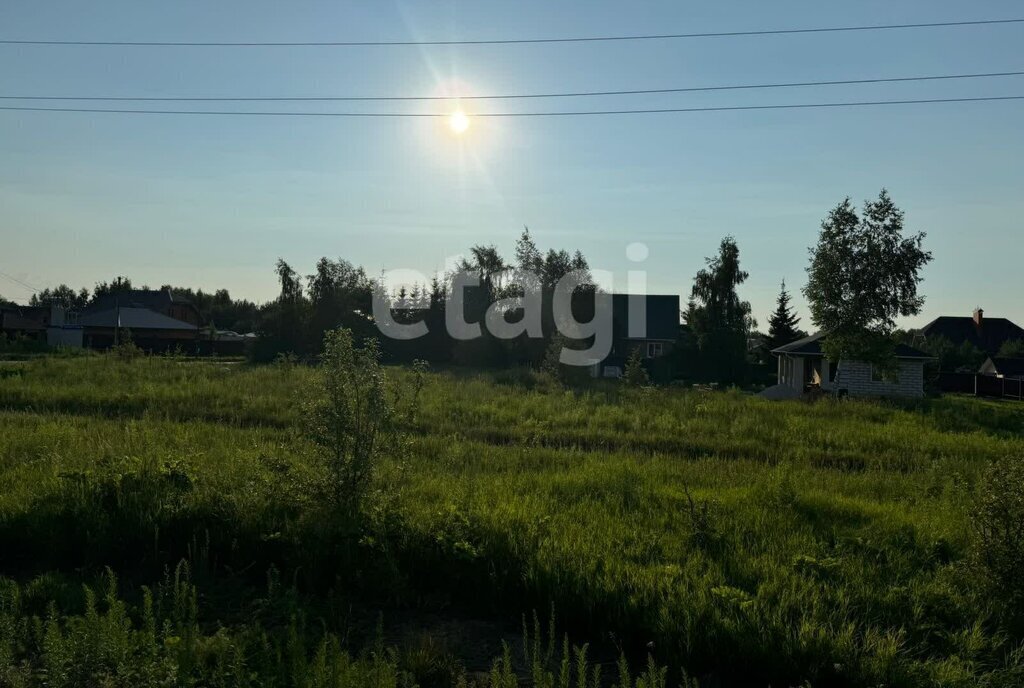 земля р-н Ленинский д Хопилово городской округ Тула фото 2