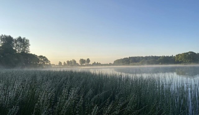 земля 58 км, коттеджный пос. Новое Таширово, Наро-Фоминск, Киевское шоссе фото