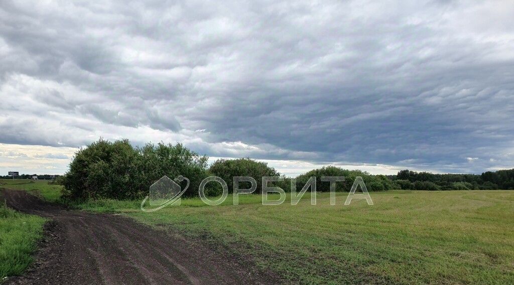 земля г Тюмень р-н Центральный пл Центральная Центральный административный округ фото 1