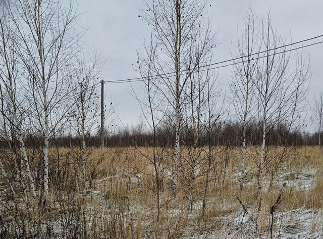 городской округ Луховицы п Совхоза Астапово ул. Лукина фото