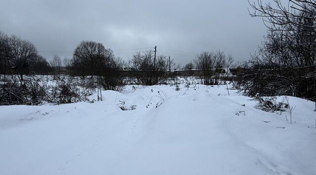 городской округ Пушкинский д Фёдоровское фото