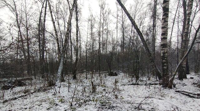 г Подольск мкр Львовский Львовский фото