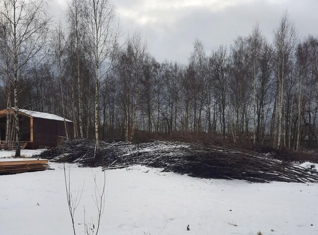 городской округ Ступино д Сидорово фото