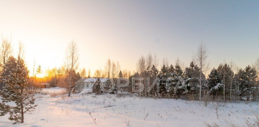 земля р-н Нижнетавдинский снт Геолог-2 5-я линия, 208 фото 4