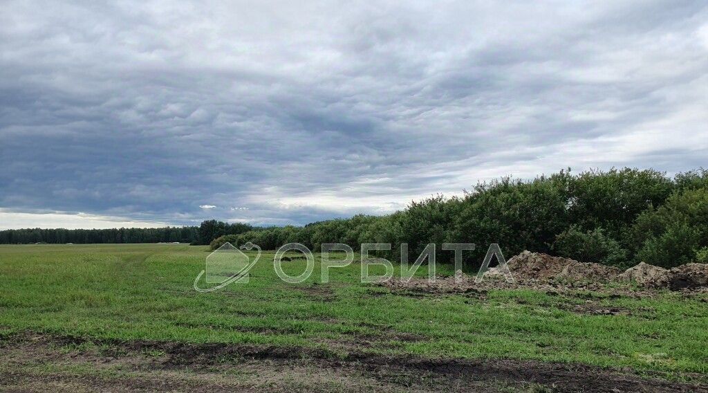 земля г Тюмень р-н Центральный пл Центральная Центральный административный округ фото 2