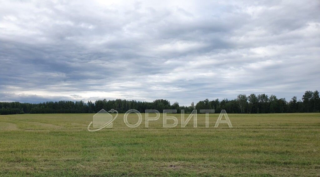 земля г Тюмень р-н Центральный пл Центральная Центральный административный округ фото 4