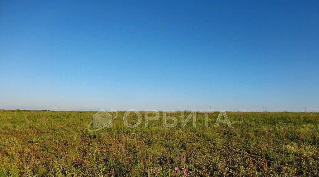 земля р-н Тюменский д Большие Акияры фото 2