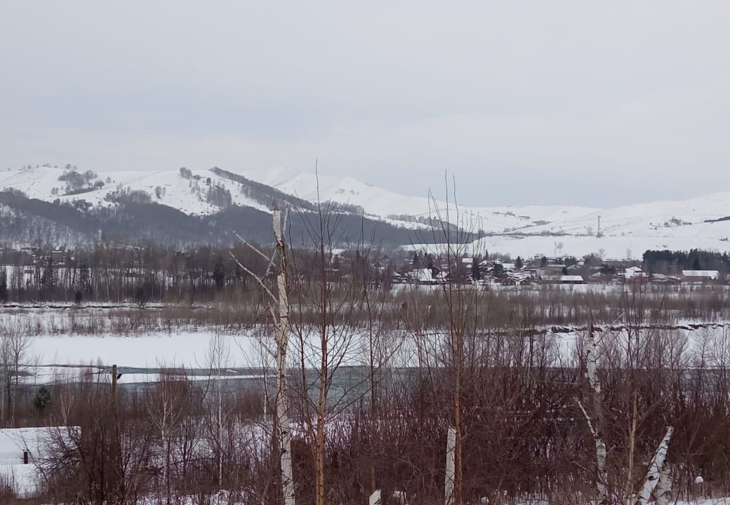 земля р-н Майминский с Майма СТ Чуйское фото 1