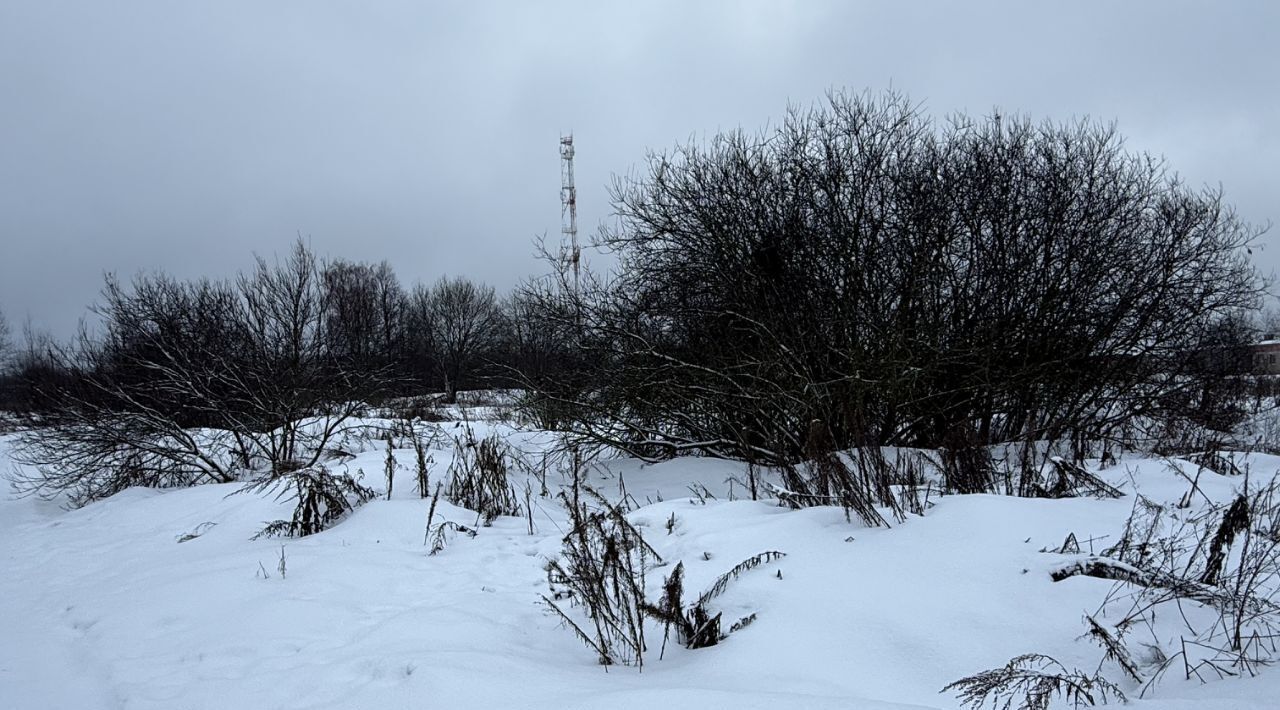 офис городской округ Пушкинский д Фёдоровское фото 2