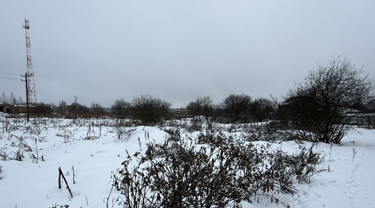 офис городской округ Пушкинский д Фёдоровское фото 4