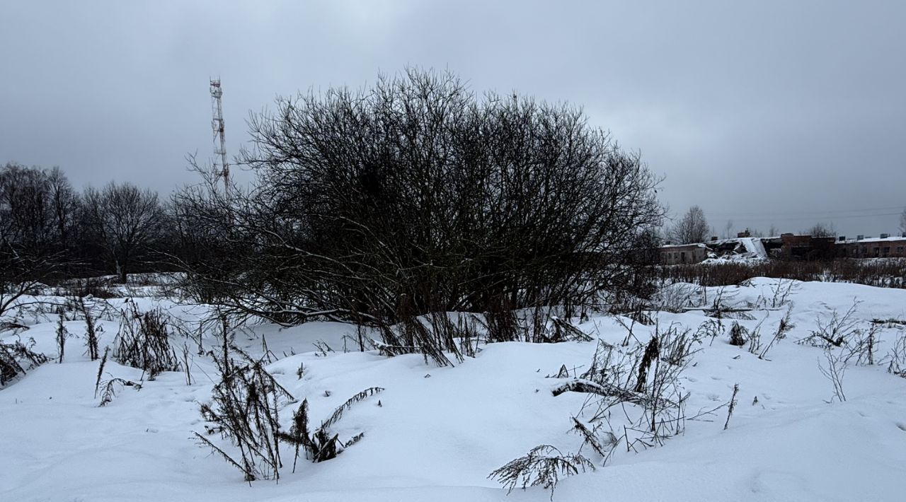 офис городской округ Пушкинский д Фёдоровское фото 3