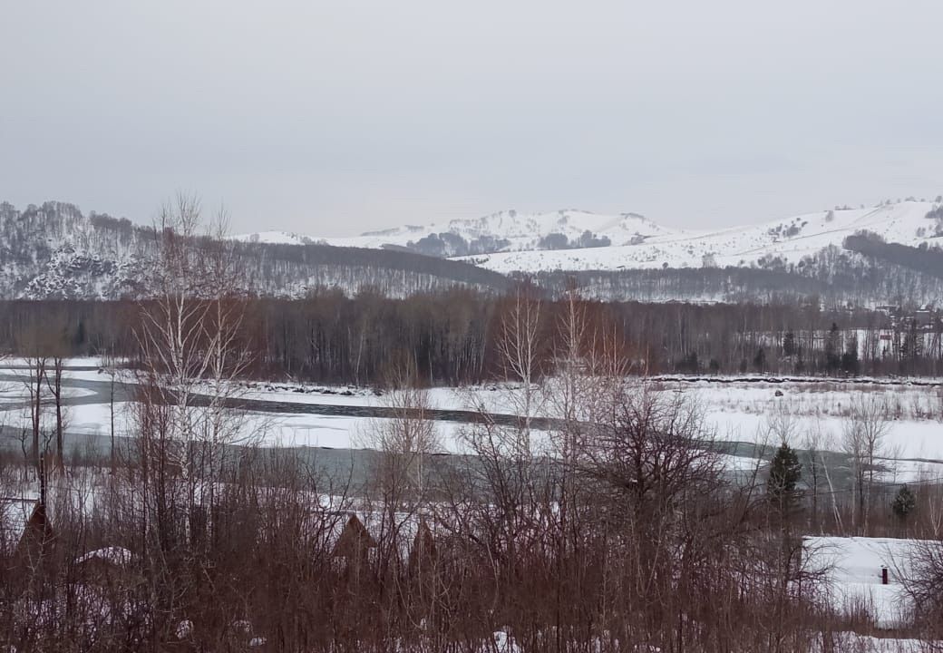 земля р-н Майминский с Майма СТ Чуйское фото 3