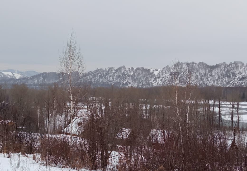 земля р-н Майминский с Майма СТ Чуйское фото 4