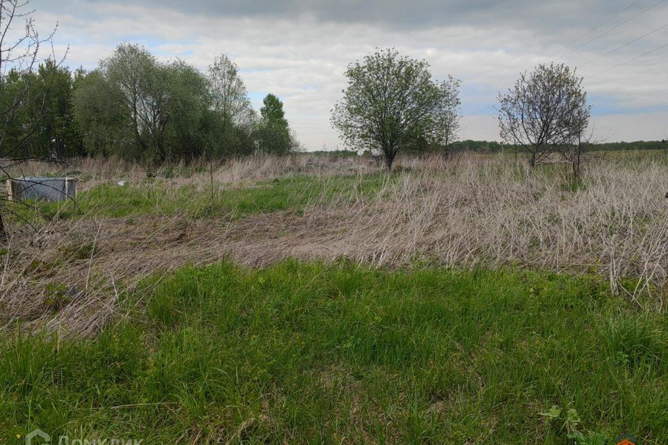 земля городской округ Волоколамский с Кузьминское 80Б, городской округ Домодедово фото 1