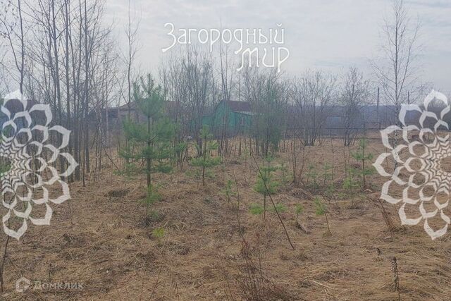 городской округ Балашиха, Московская область, Владимирская улица фото