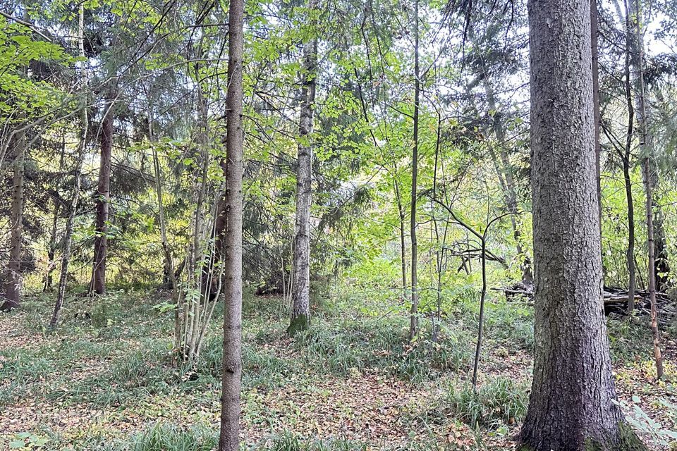 земля городской округ Сергиево-Посадский с. Абрамцево фото 1