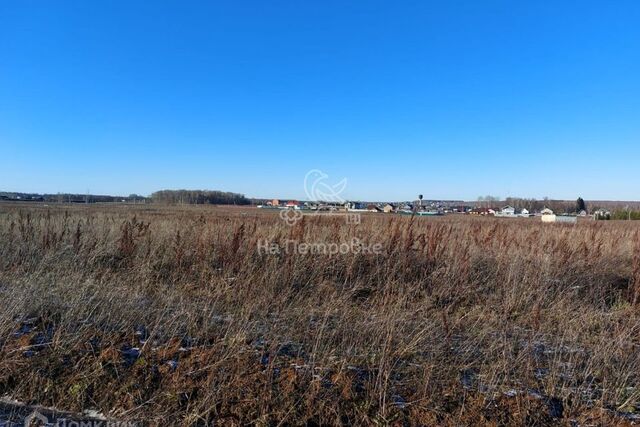 земля Новое Косино, Домодедово городской округ фото