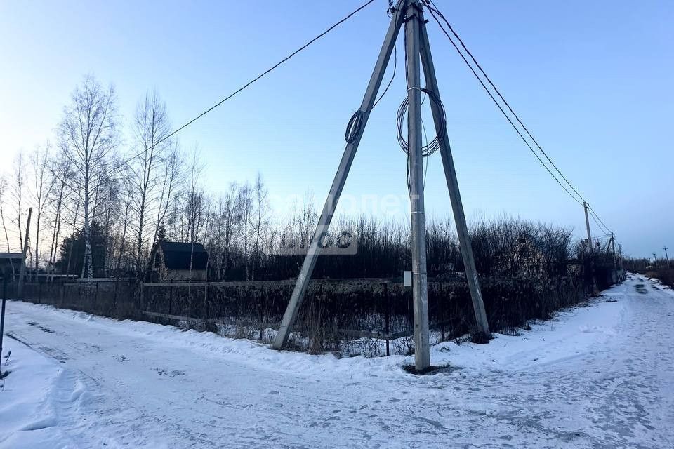 земля городской округ Орехово-Зуевский СТ Ромашка фото 1