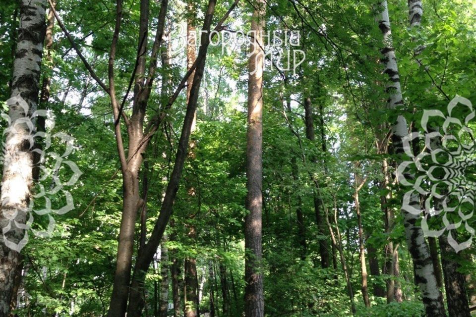 земля г Балашиха городской округ Балашиха, Разинское шоссе, 4А фото 3