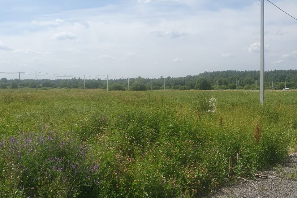 земля городской округ Богородский фото 3