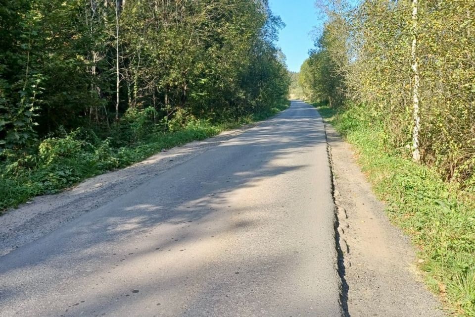 земля городской округ Чехов д. Сенино фото 4