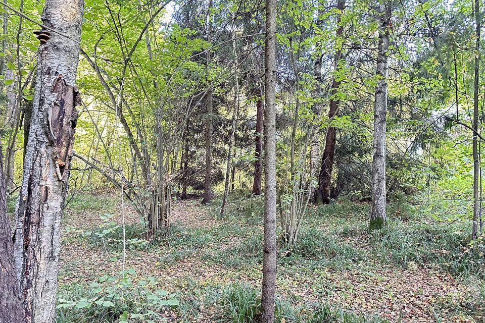 земля городской округ Сергиево-Посадский с. Абрамцево фото 3