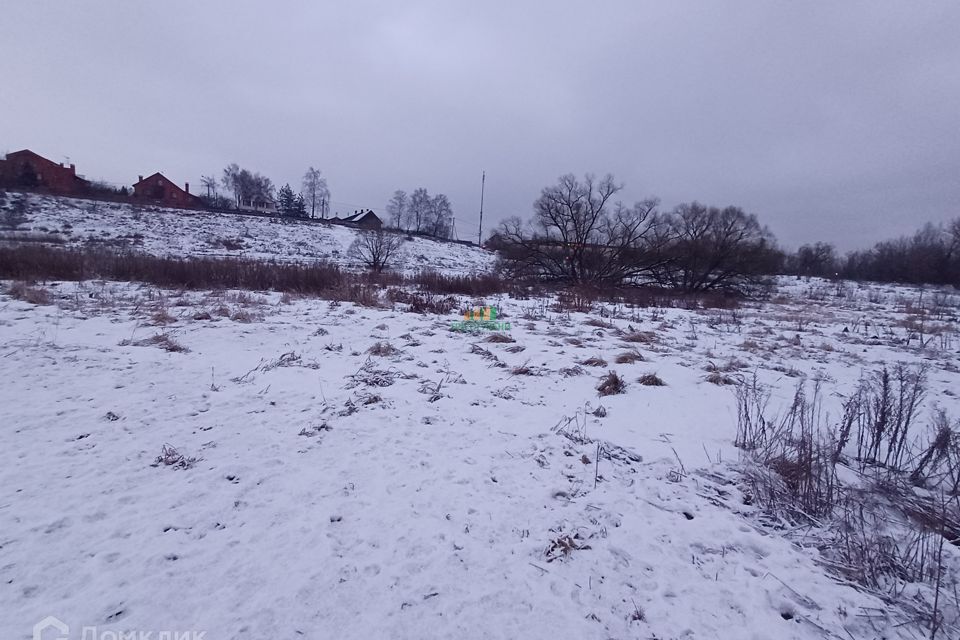 земля городской округ Щёлково Живописная фото 2