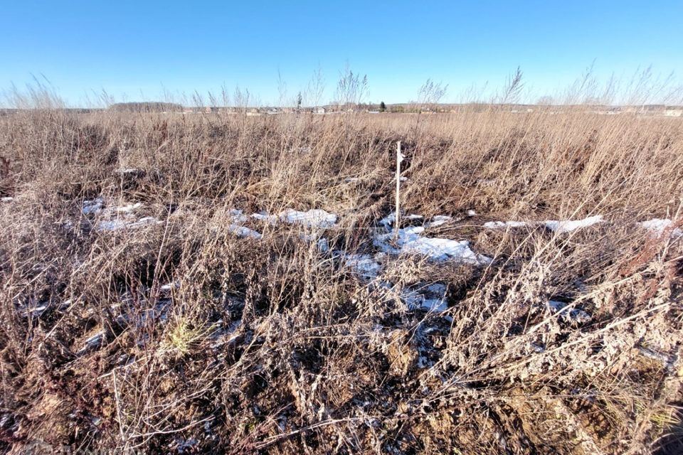 земля г Домодедово Новое Косино, Домодедово городской округ фото 2