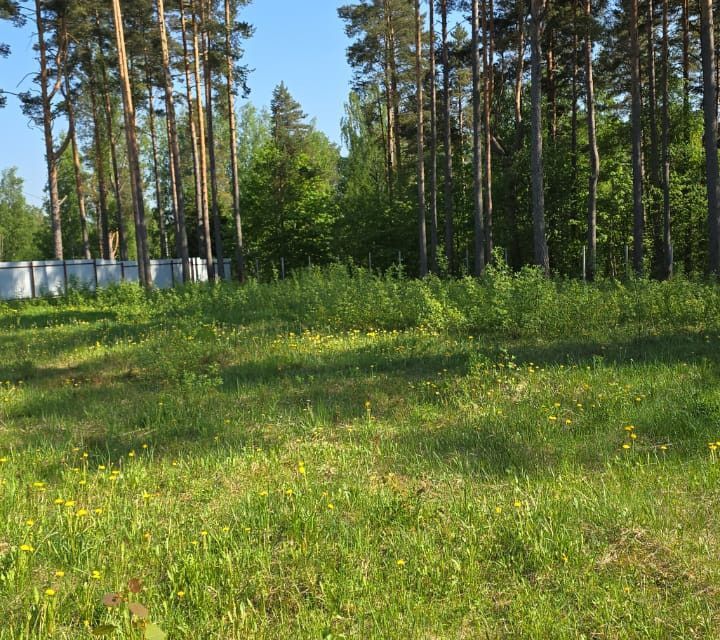 земля р-н Приозерский п Сосново ул Хвойная Сосновское сельское поселение фото 2