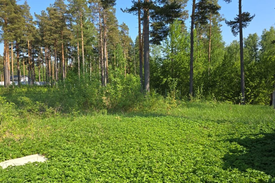 земля р-н Приозерский п Сосново ул Хвойная Сосновское сельское поселение фото 3