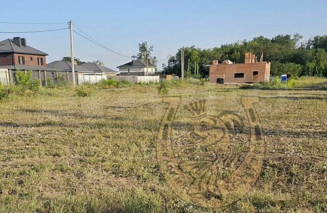 х Камышеваха Большелогское сельское поселение фото