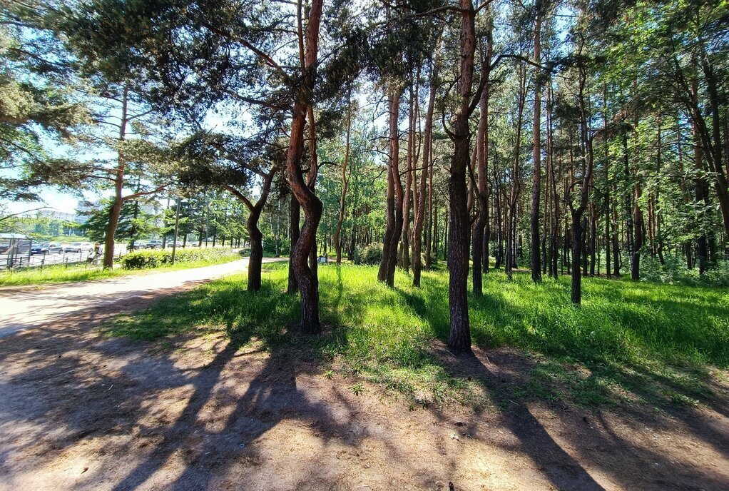 квартира г Санкт-Петербург метро Политехническая пр-кт Раевского 24 округ Светлановское фото 12