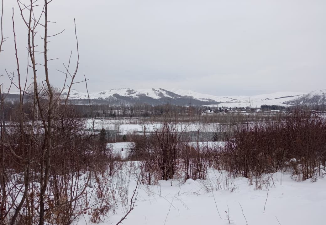 земля р-н Майминский с Майма СТ Чуйское фото 5