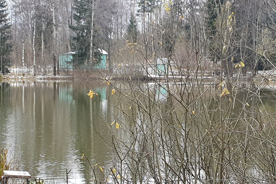 дом городской округ Солнечногорск д. Дулепово фото 7