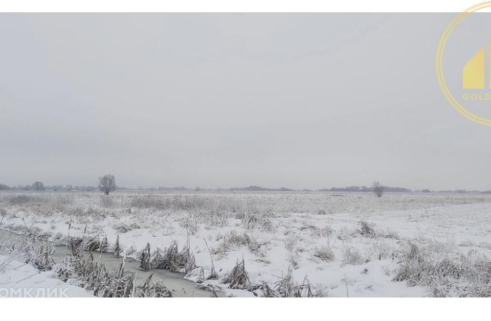 земля городской округ Воскресенск с. Фаустово фото 5