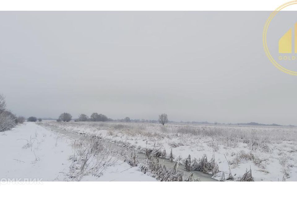 земля городской округ Воскресенск с. Фаустово фото 7