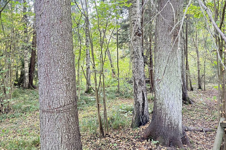 земля городской округ Сергиево-Посадский с. Абрамцево фото 10