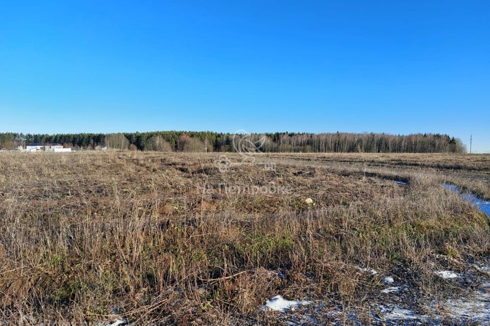 земля г Домодедово Новое Косино, Домодедово городской округ фото 5