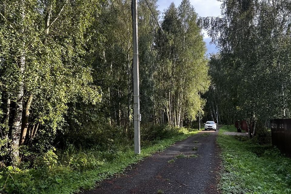 земля городской округ Раменский д Соколово-Хомьяново снт Хомьяново 431 фото 8