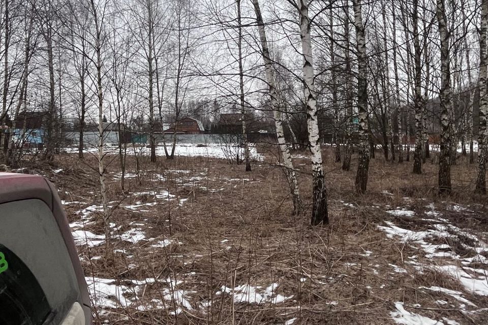 земля городской округ Раменский д Соколово-Хомьяново снт Хомьяново 431 фото 6