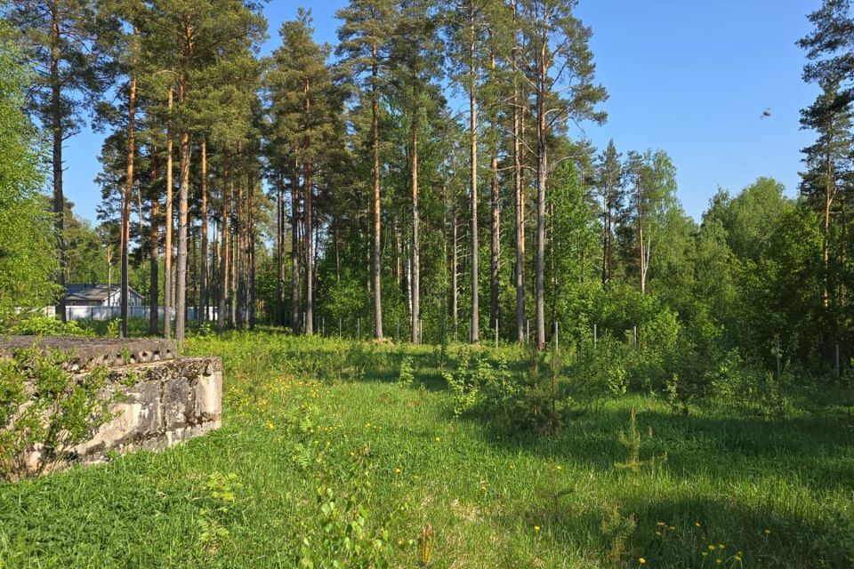 земля р-н Приозерский п Сосново ул Хвойная Сосновское сельское поселение фото 7