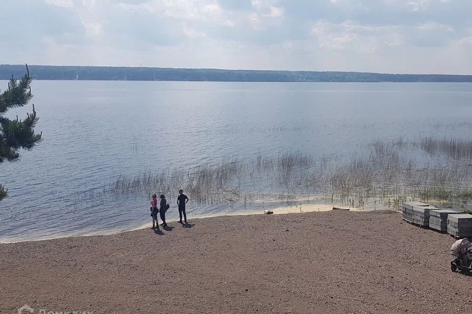 земля р-н Приозерский фото 6