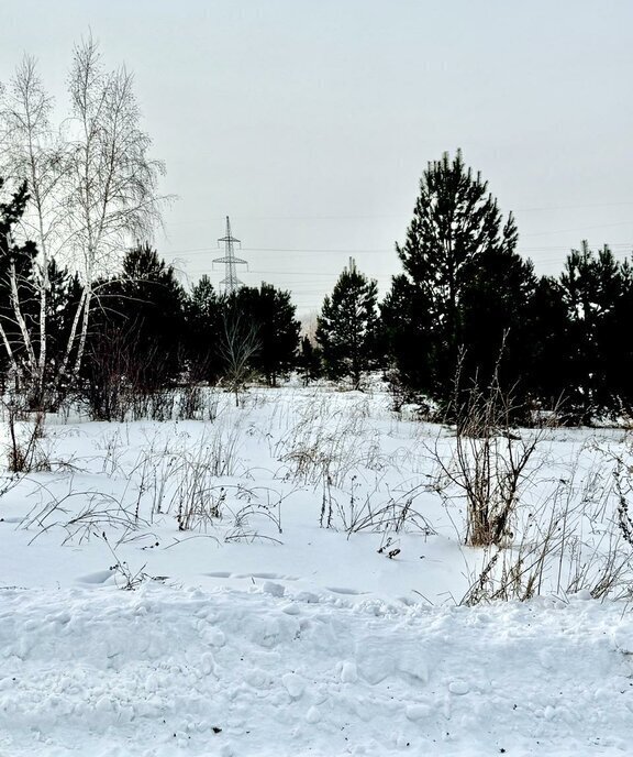 земля г Саяногорск ул имени И.И.Шишкина фото 6