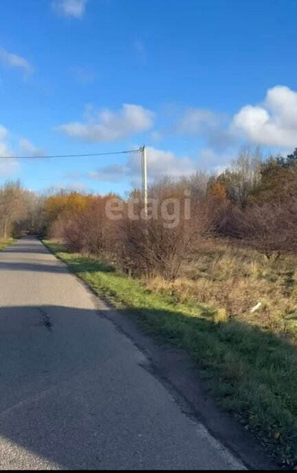 земля р-н Зеленоградский п Павлинино Зеленоградский муниципальный округ фото 3