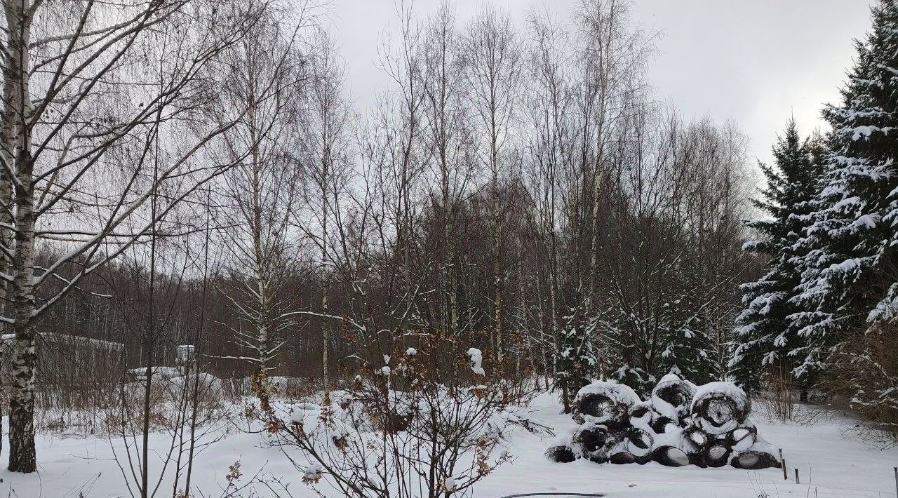 офис городской округ Мытищи д Долгиниха ул Центральная фото 2